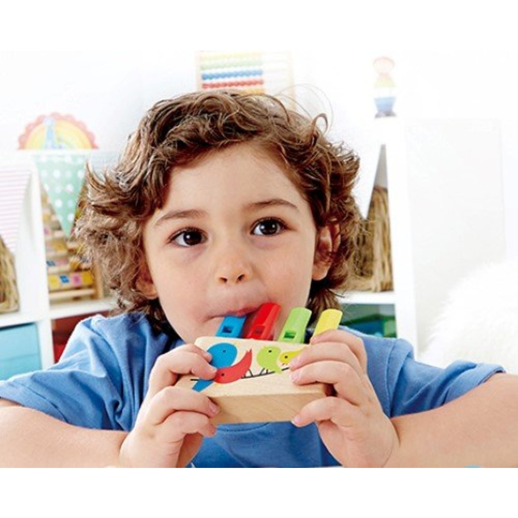 Rainbow Pan Pipe by Hape Toys Hape