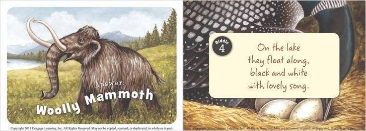 Little Minnesota - Board Book Books Sleeping Bear Press