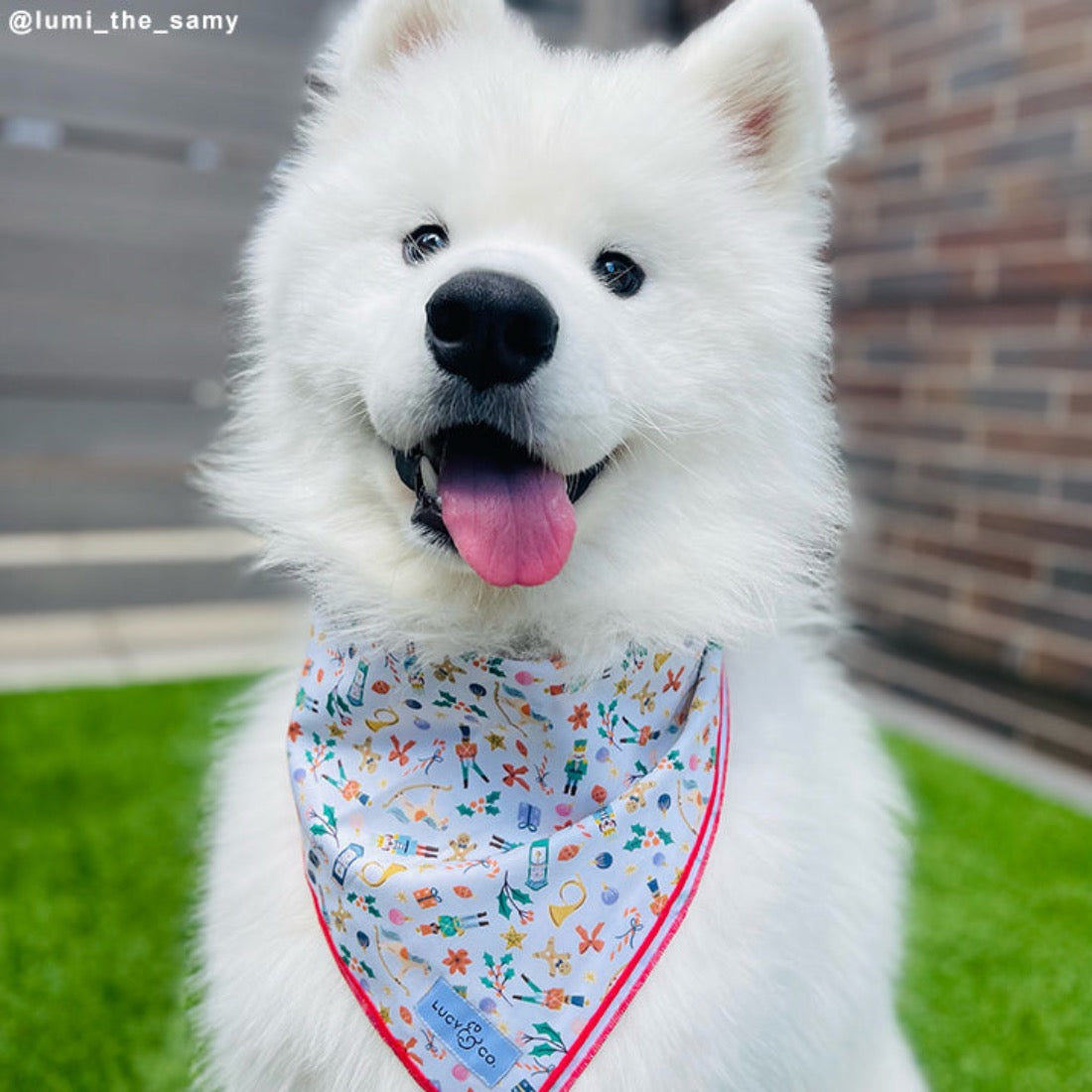 The Sugarplum Bandana - Large by Lucy & Co Pets Lucy & Co