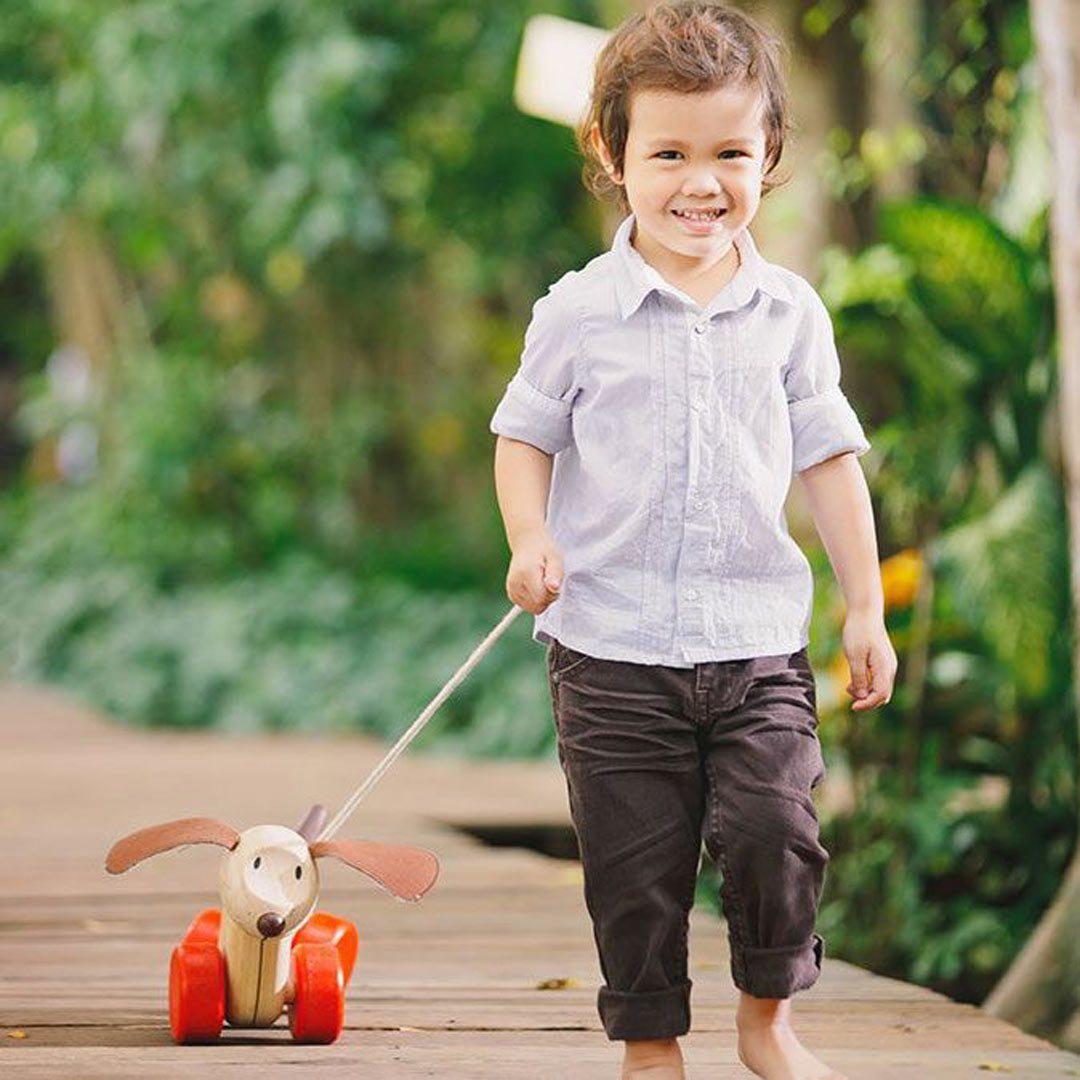 Happy Puppy Pull Toy by Plan Toys Toys Plan Toys