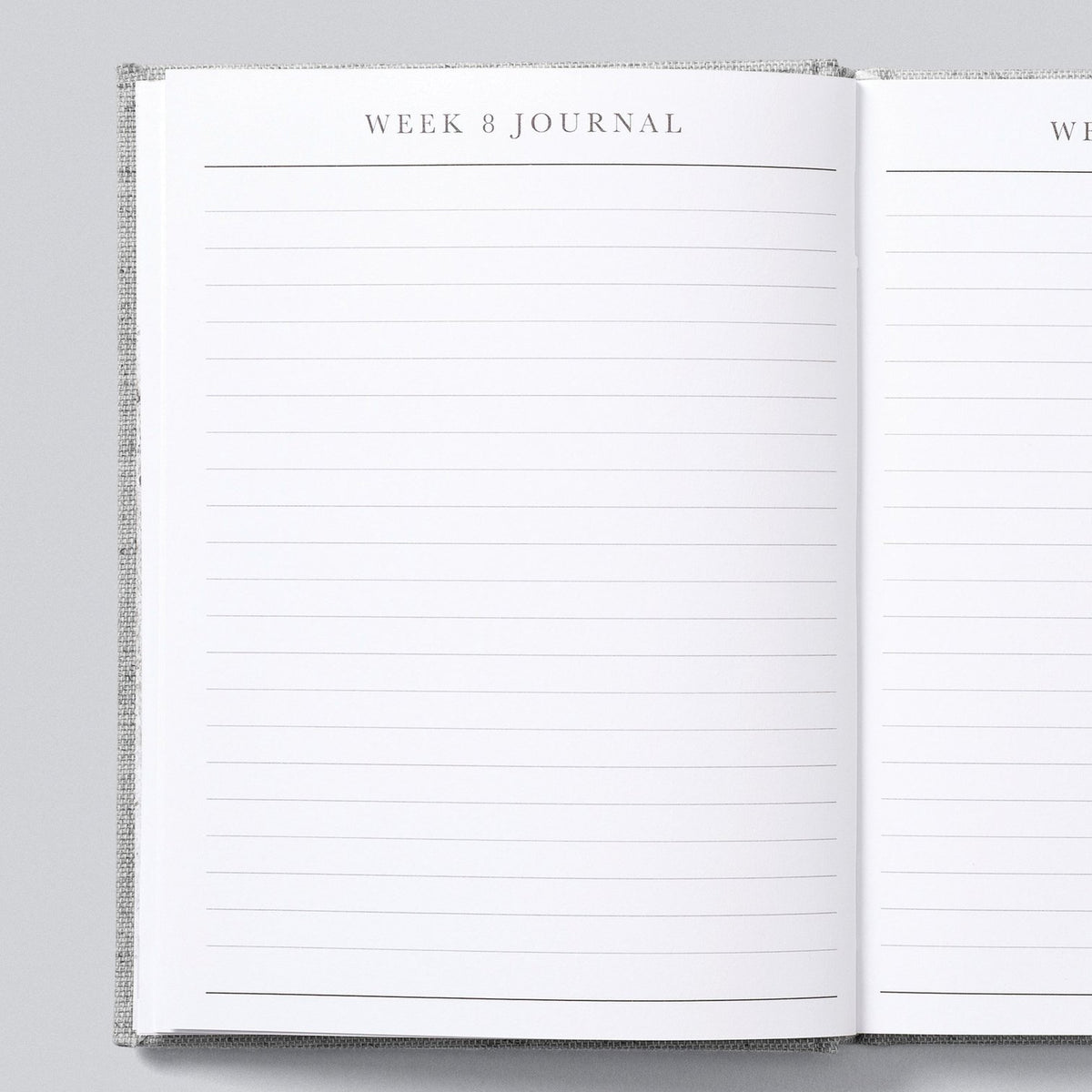 9 Months. Pregnancy Journal by Write to Me Books Write to Me