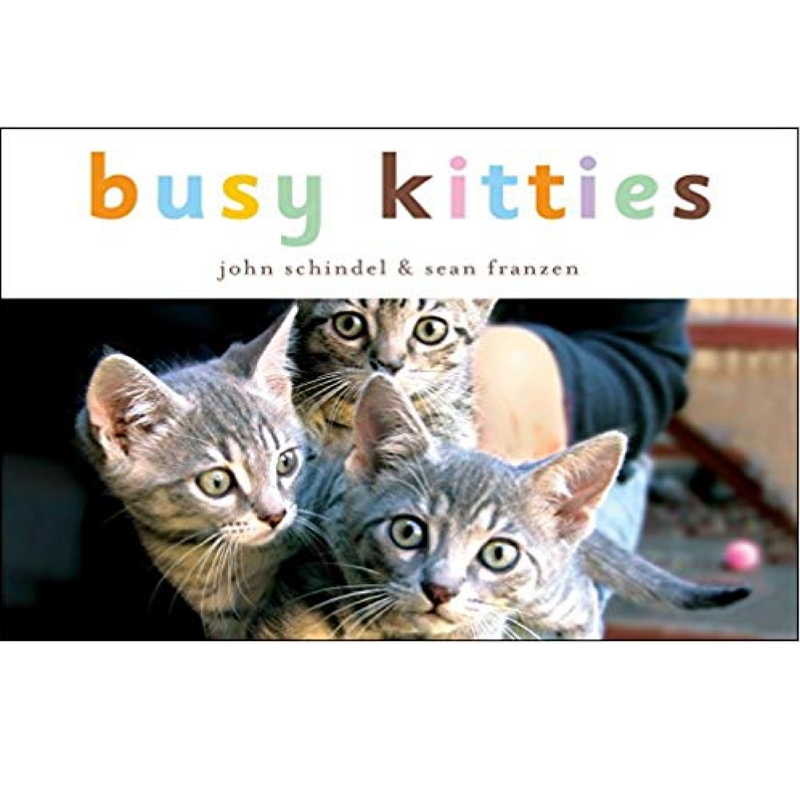 Busy Kitties - Board Book Books Random House   