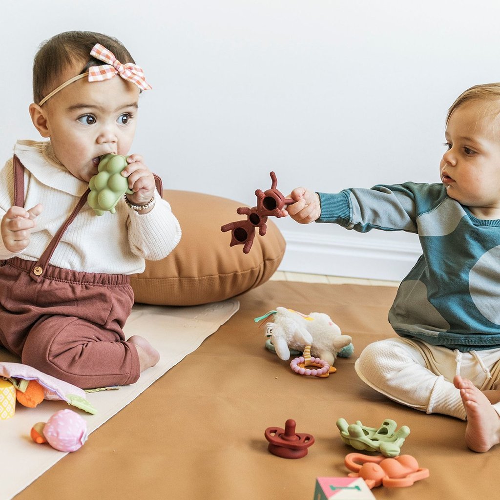 The Chew - Slow Poke Turtle Teether by Doddle & Co Toys Doddle & Co