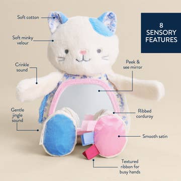 Stuffed toy cat with sensory features labeled on a beige background