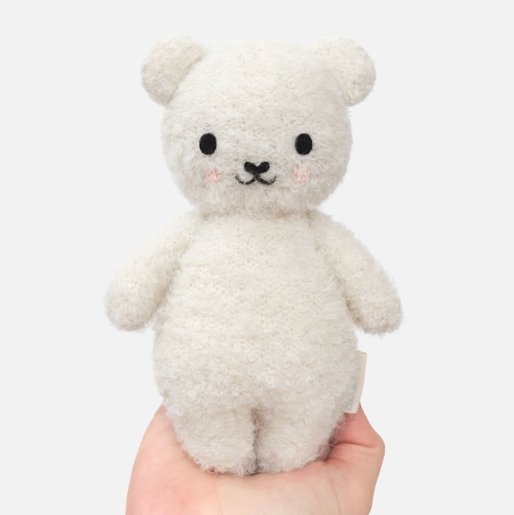 Small white teddy bear held in a hand against a white background