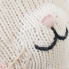 Close-up of a knitted beige blanket with a hand and cat paw on top