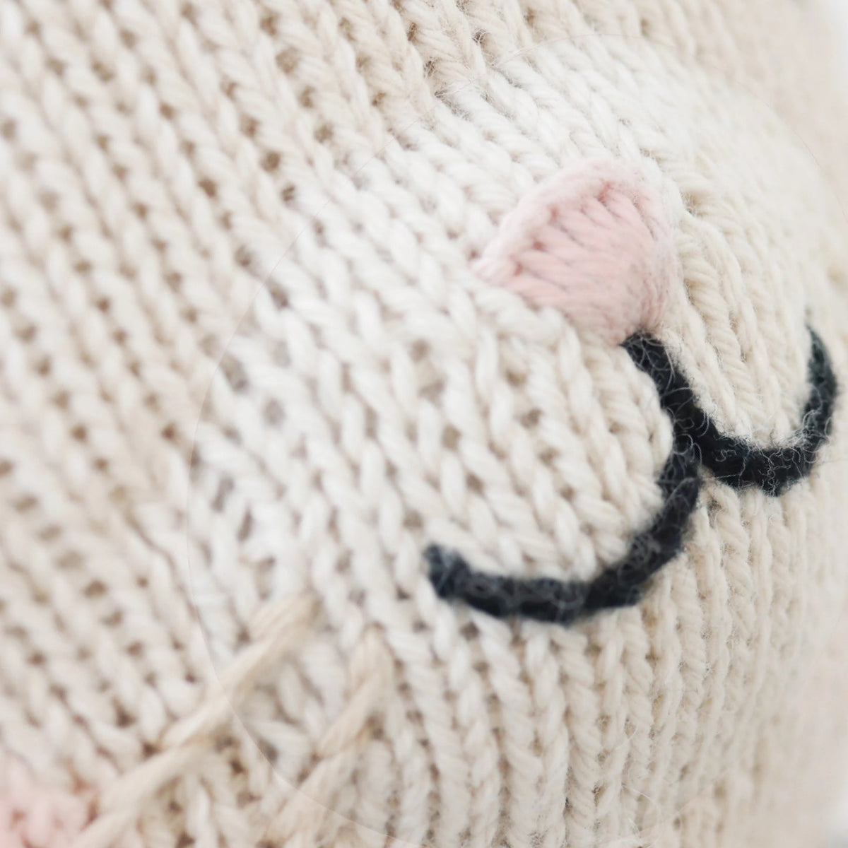 Close-up of a knitted beige blanket with a hand and cat paw on top