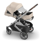 Double stroller with beige canopy and black chassis on a white background