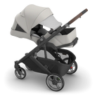 Gray and black stroller on a white background