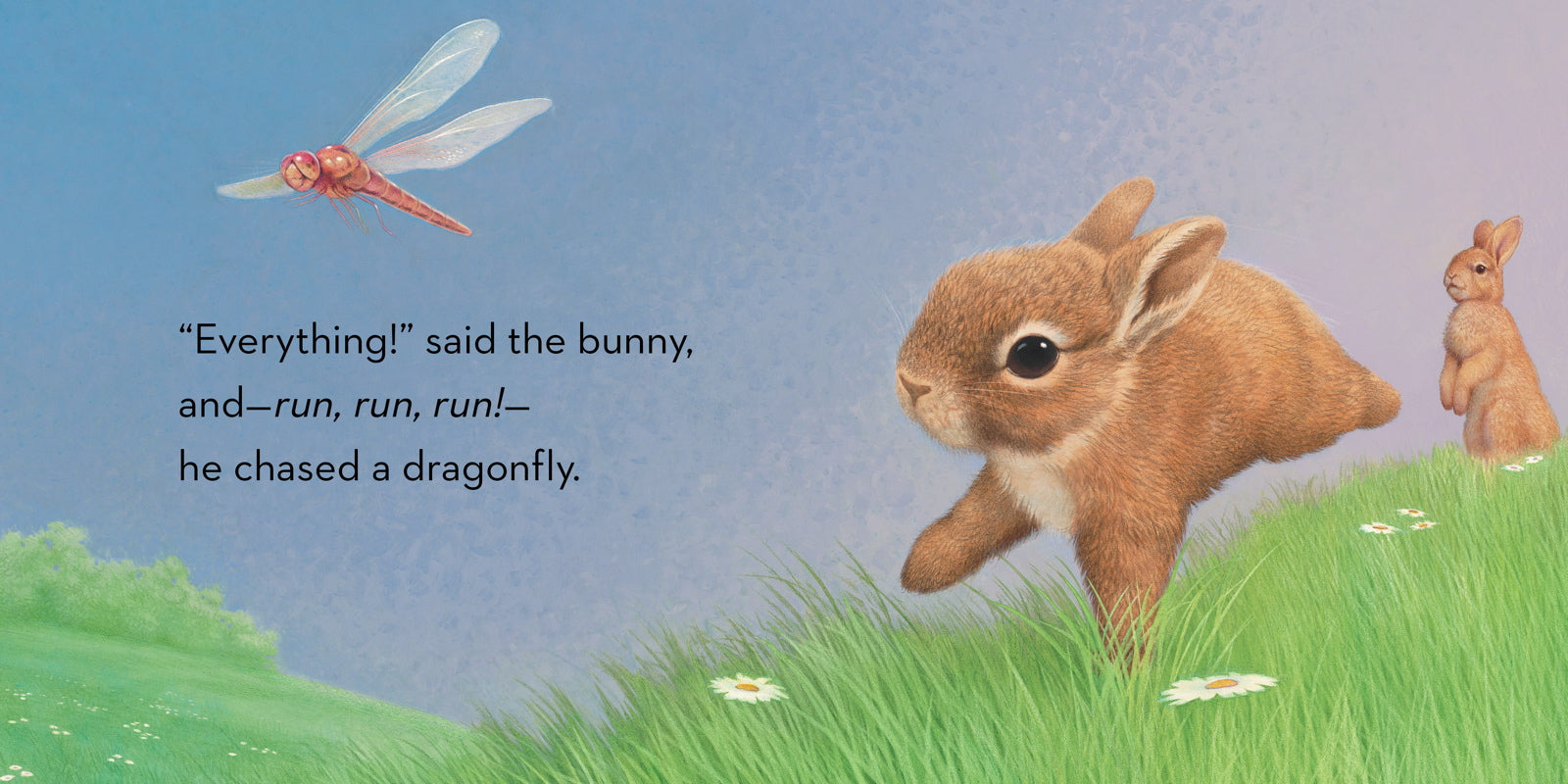 Illustration of a bunny chasing a dragonfly with text on a blue sky and green grass background.