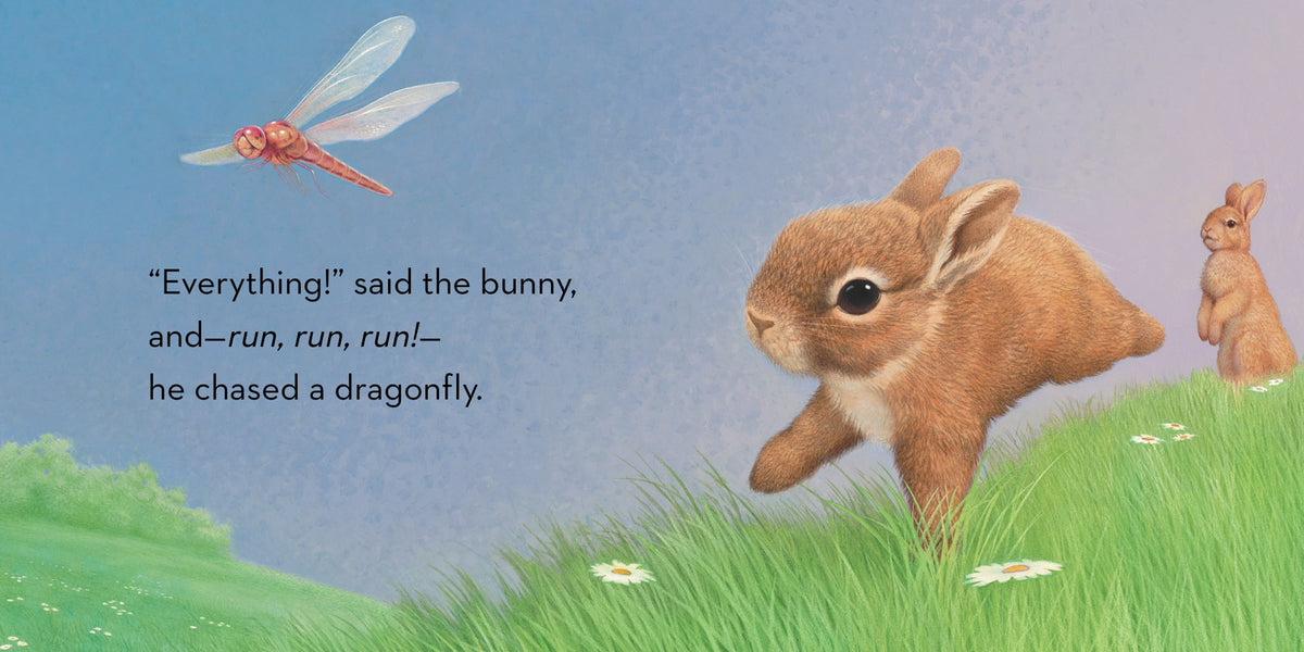 Illustration of a bunny chasing a dragonfly with text on a blue sky and green grass background.