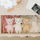 Three teddy bears in a drawer with baby items and an ultrasound photo.