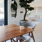 Dining area with wooden table, gray chairs, and a potted plant in a modern living room.
