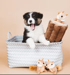 A black, white, and tan puppy sits in a gray and white chevron-patterned storage basket, with a brown plush blanket shaped like a log and two small plush squirrel toys beside it on a warm beige background.