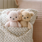 Two teddy bears in a patterned fabric basket.