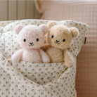 Two teddy bears in a patterned fabric basket on a soft background