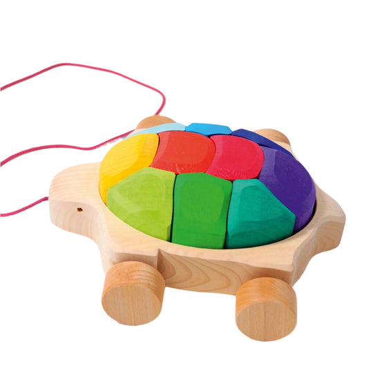 Rainbow Turtle by Grimm's