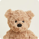 Beige teddy bear on a light beige background