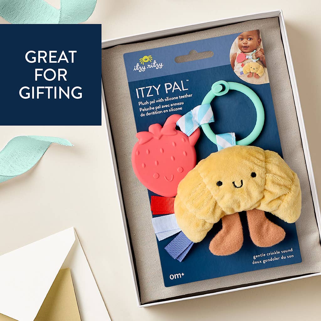 Itzy Ritzy Itzy Pal plush toy with teether in packaging on a light background