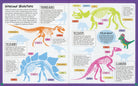 Educational poster about dinosaur skeletons with colorful illustrations and text.