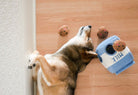 A dog lies on a light wood floor next to a blue and white plush toy shaped like a milk carton with a cookie character on top. Two small plush cookie toys are scattered nearby.