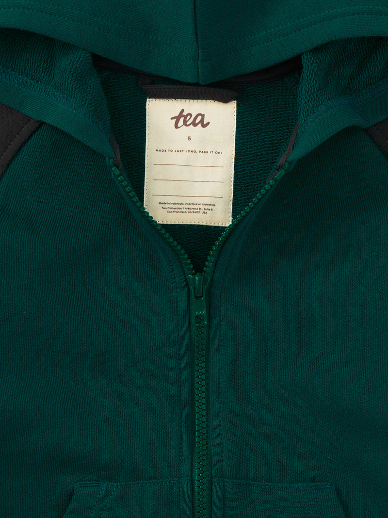 Colorblock Hoodie - Jade by Tea Collection - FINAL SALE – Pacifier Kids ...