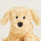 Close-up of the Golden Dog Junior plush toy by Warmies, featuring soft cream-colored textured fur, dark button eyes, and a black fabric nose.