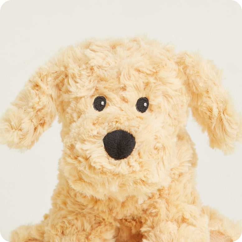 Close-up of the Golden Dog Junior plush toy by Warmies, featuring soft cream-colored textured fur, dark button eyes, and a black fabric nose.