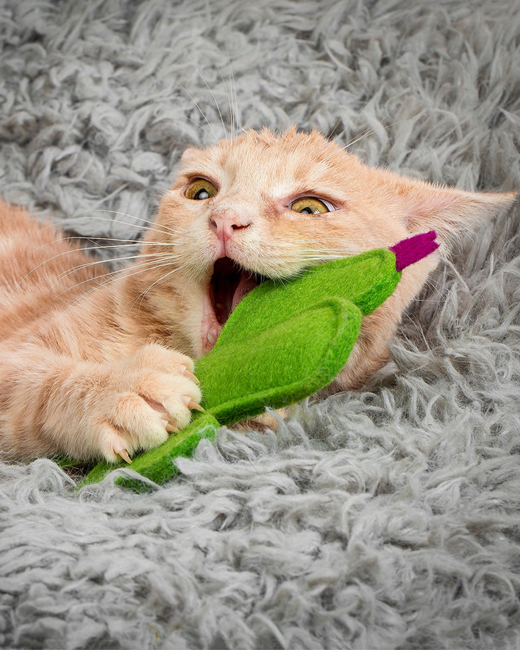 Cat playing with a green toy on a gray carpet