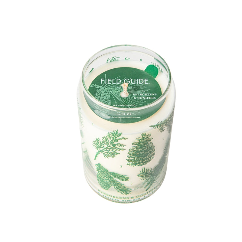 Evergreens & Conifers Soy Candle - Forest Floor Collection by Good & Well Supply Co.