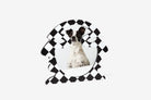 Dog inside a black and white checkered border on a white background