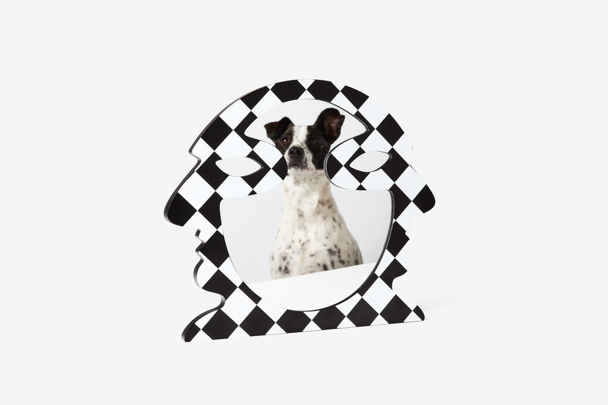 Dog inside a black and white checkered border on a white background
