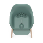 A high-angle studio shot of a stroller in a muted sage green color with light natural wood legs, set against a solid white background.