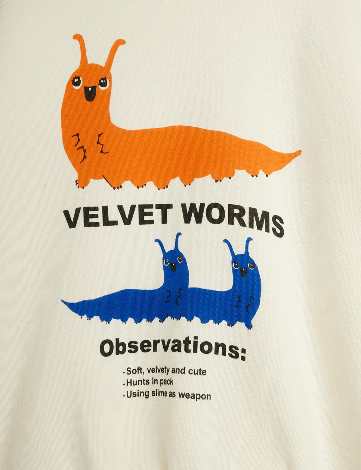 A close-up of a white graphic print featuring cartoon worms. The top shows an orange worm above the text 'VELVET WORMS' in black, and the bottom shows a blue worm above the heading 'Observations:'.