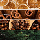 Collage of dried orange slices, cinnamon sticks, cloves, and pine needles with labels.