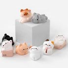 Set of cute cat-shaped squishies on a white background