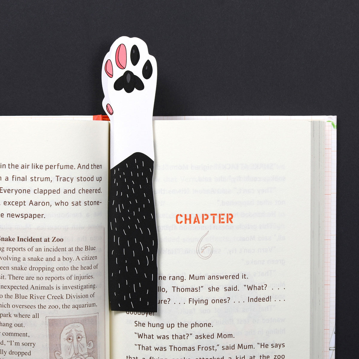 Bookmark with paw design on an open book