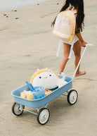 Child pushing a blue toy cart with a plush toy on a sandy beach.