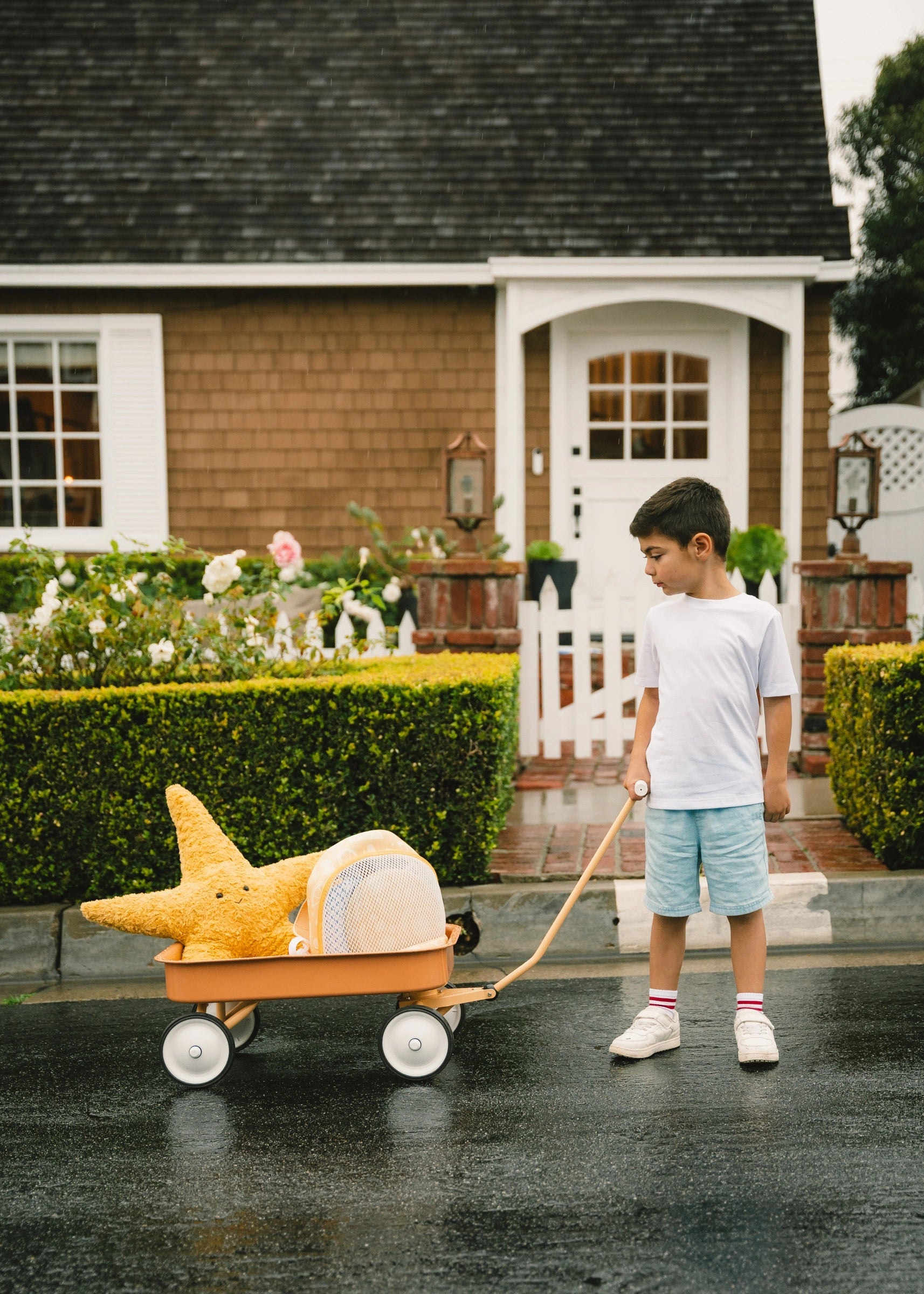 Child pulling a wagon with a large toy dinosaur in front of a house.