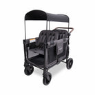 Black and gray double stroller with canopy on a white background