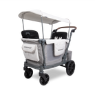 Double stroller with canopy on a white background