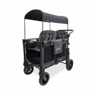 Black double stroller with canopy on a white background