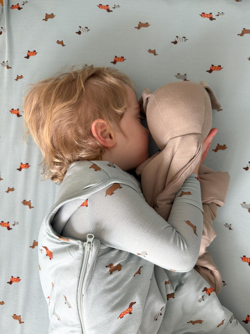 Child wearing a light gray hoodie with fox pattern hugging a beige blanket against a white background with fox prints.