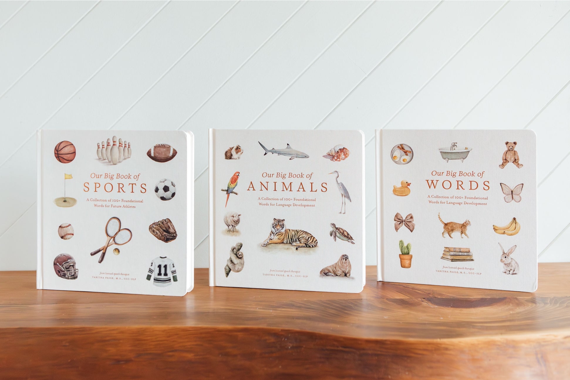 Three books titled 'Big Book of Sports', 'Big Book of Animals', and 'Big Book of Words' on a wooden surface with a white paneled wall background.