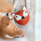 Close-up of a plush fox toy and a real fox on a textured fabric background