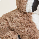 A close-up shot of the plush Raccoon by Warmies, highlighting its soft textured brown and white fur, black eye patches, and pointed ear.
