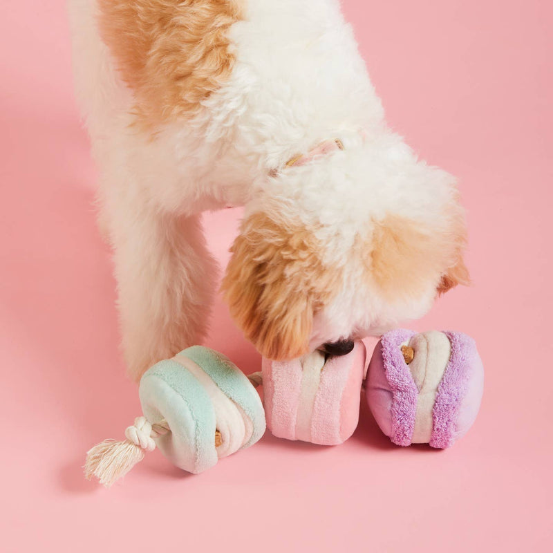 Macarons Interactive Snuffle Dog Toy by The Foggy Dog
