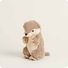 Plush toy otter on a white background