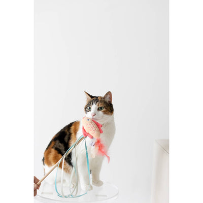 Koi Cat Teaser Wand by Pearhead