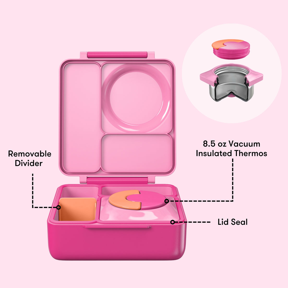 Pink lunch box with features highlighted on a pink background